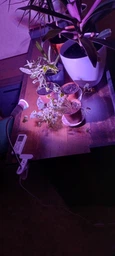Фітолампа GreenHouse GR-28 з світильником-прищепка фото від покупців 3