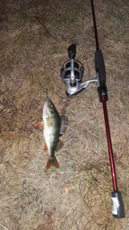 Спининг Daiwa Ninja Z 702LFS-ST 2.1 м 3-15 г
