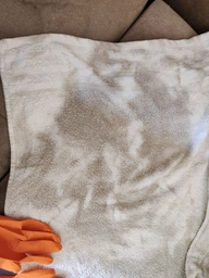 Засіб для очищення та догляду за килимами і м'якими меблями Glutoclean 0.75 л (4044899391920) фото від покупців 2