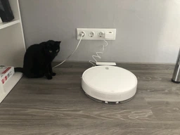 Робот-пилосос Xiaomi Mi Robot Vacuum-Mop Essential (695919) фото від покупців 6