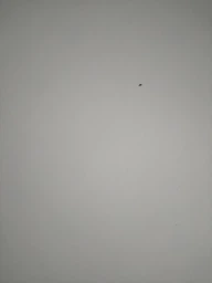 Спрей - мус для знежирення з відбілювачем ACE SPRAY MOUSSE CON CANDEGGINA PIU 800 мл фото від покупців 1