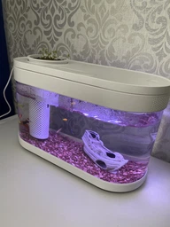 Аквариум Xiaomi Geometry Fish Tank Aquaponics Ecosystem 10 л White HF-JHYG001 (2001000011650) фото от покупателей 2
