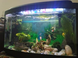 LED светильник Xilong T4-50E 6,3W 42 см Color фото от покупателей 8