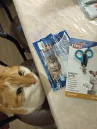 Ласощі Trixie Premio Sticks with Salmon & Trout для котів палички з лососем та фореллю 5 г 5 шт (4011905427256) фото від покупців 9