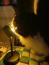 Лампа закат солнца sunset lamp закатная проекционная лампа рассвет ночник видео свет для тик ток с пультом фото от покупателей 3