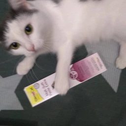 Паста Для кошек Gimborn GimCat Malt-Soft Экстра для выведения шерсти 200 г (4002064417127 / 4002064417943) фото от покупателей 7