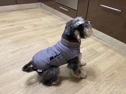Пуховик Noble Pet Bobby Navy B4118/XL (00001687) фото от покупателей 1