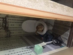 Набор для приучения кошек к унитазу CitiKitty Cat Toilet Training Kit, туалет для кошек, лоток фото от покупателей 4