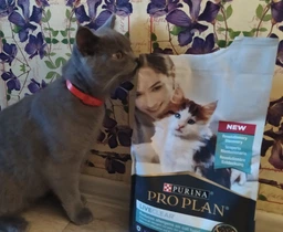 Сухий корм для кошенят Purina Pro Plan LiveClear Kitten Turkey з індичкою 1.4 кг фото від покупців 10