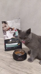 Сухий корм для кошенят Purina Pro Plan LiveClear Kitten Turkey з індичкою 1.4 кг фото від покупців 9