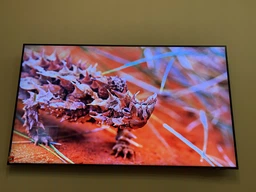 Телевизор Samsung QE55Q60AAUXUA фото от покупателей 6