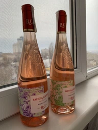 Вино Barton & Guestier Rose dAnjou Passeport розовое сухое 0.75 л (3035130501100)