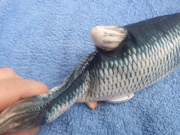 Іграшка для кота вібруюча жива риба CAPSBOARD FISH (340002) фото від покупців 5