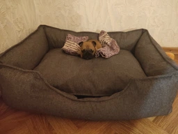 Ліжко для собак лежак лежанка для собак та котів спальне місце для тварин знімний чохол з бортами 50×40×18 см Huge and Tiny Сірий меблева тканина