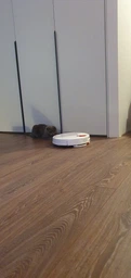 Робот-пылесос Xiaomi Mi Robot Vacuum STYJ02YM Белый