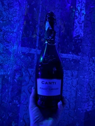 Вино ігристе Canti Pinot Grigio Brut Blanc Біле брют 0.75 л 11% (8005415045235) фото від покупців 1