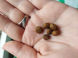 Корм сухой Brit Grain Free VetDiet Cat Struvite для котов с мочекамяной болезнью с курицей и горохом 400 г