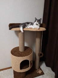 Кошачья когтеточка лазалка в домик с лежанкой для кошек кото 90х60х40см молочно бордовая фото от покупателей 8