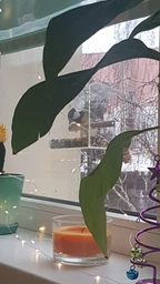 Кормушка для птиц на окно House_for_birds "Лоджия" в подарочной упаковке фото от покупателей 3