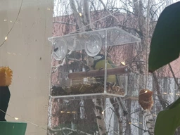 Кормушка для птиц на окно House_for_birds "Лоджия" в подарочной упаковке фото от покупателей 2