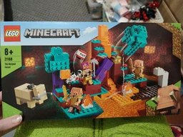 Конструктор LEGO Minecraft Химерний ліс 287 деталей (21168)