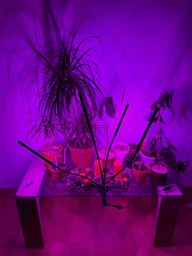 Светодиодная Фитолампа GrowLight для Выращивания Комнатных на 4 ветки Растение Full Spectrum (OJ146IU)