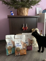 Сухий корм для кішок Purina Cat Chow Hairball проти утворення волосяних кульок 1.5 кг (5997204514486) фото від покупців 8