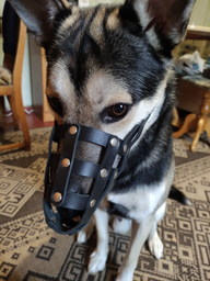 Намордник м'який Collar №2 (доберман, вівчарка сука, далматин) Чорний (06291Collar)