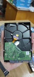 Накопитель HDD Western Digital 3.5 Blue 1Tb (WD10EZEX)