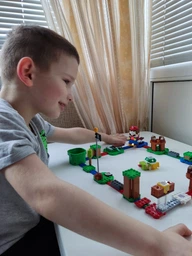 Конструктор LEGO Super Mario Приключения вместе с Марио 231 деталь (71360)