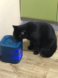 Поїлка PETKIT Eversweet SOLO SE Smart Pet Drinking Fountain Dark Grey (P4103S) фото от покупателей 1