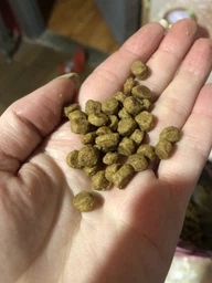 Сухий корм Purina One Junior для кошенят з куркою 450 г. (8445290071972) фото від покупців 11