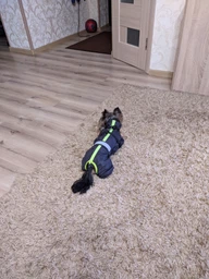 Комбінезон Pet Fashion COLD для собак сірий 5XL фото від покупців 7