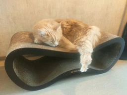 Когтеточка из картона усиленного с деревянным фасадом Cat Joy Fusion Beige 77x29x29 см фото от покупателей 15