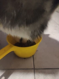 Сухой корм JULIUS-K9 Fish&Rice Hypoallergenic гипоаллергенный корм для собак с рыбой и рисом 3кг