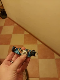 Ошейник для Собак BronzeDog Urban Camo Нейлоновый с Металлической Пряжкой и Гравировкой Синий 16 мм 25-33 см (32/1362) фото от покупателей 1