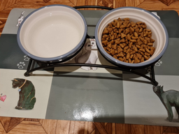 Подставка с мисками из керамики для кошек Trixie Eat on Feet 250 мл (4047974247907) фото от покупателей 13