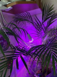 Фітолампа GreenHouse GR-28 з світильником-прищепка фото від покупців 1