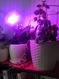 Фитолампа GreenHouse GR-8 з світильником-прищіпка фото від покупців 8