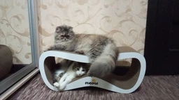 Когтеточка картонная Say Meow Grace, 67 см х 27 см х 24 см