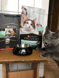 Сухой корм PRO PLAN LiveClear Sterilised Adult для см. аллерг, для стерил. котов, индейка 1,4 кг (7613287232564) фото от покупателей 14