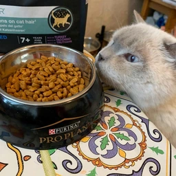 Сухий повнораціонний корм для стерилізованих котів старше 7 років Purina Pro Plan LiveClear для зменшення алергенів на шерсті з індичкою 1.4 кг фото від покупців 8