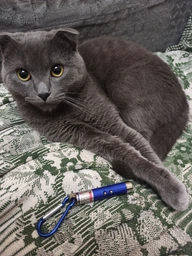 Лазерная указка для кошек с брелком CAPSBOARD CAT (980000) фото от покупателей 3