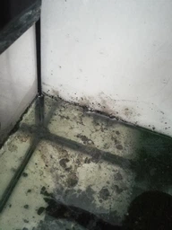Терморегулятор Collar aHEATER MINI для акваріума до 15 л 10 Вт (7935) фото від покупців 7