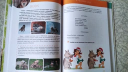 Велика книга про тварин (9789669358370) фото от покупателей 11