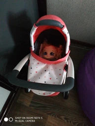 Коляска Smoby Toys Maxi-Cosi & Quinny 3 в 1 со съемной люлькой (253198) (3032162531983) фото от покупателей 8