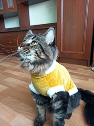 Светр для кішки Pet Fashion "TOM" S капучино (4823082429493) фото від покупців 1