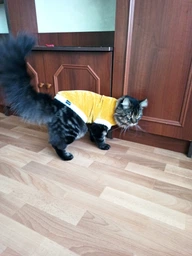 Светр для кішки Pet Fashion "TOM" S капучино (4823082429493)