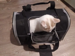 Рюкзак-переноска для собак и кошек Trixie TBag 42 х 29 x 21 см до 8 кг Черный с серым (4011905028828) фото от покупателей 3