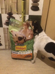Сухой полнорационный корм для взрослых собак Purina Friskies с курицей и овощами 10 кг фото от покупателей 5